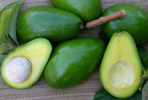 abacate-avocado-saude
